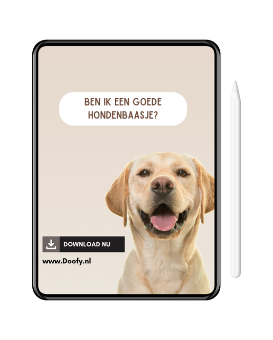 E-Book: Ben ik een goede hondenbaasje?
